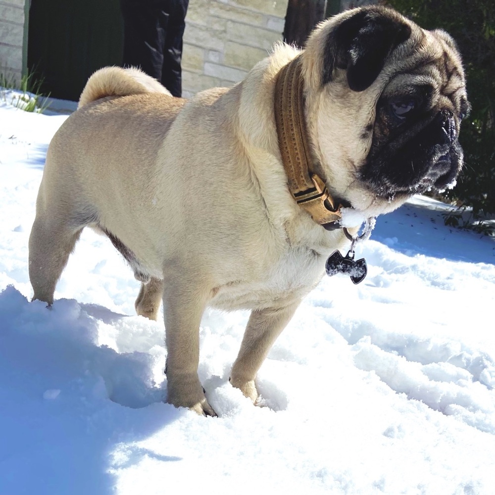 Meet your Posher, Hailey